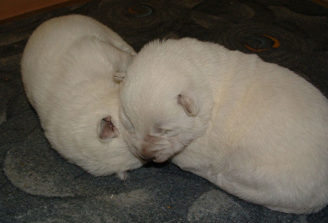 spolu.JPG