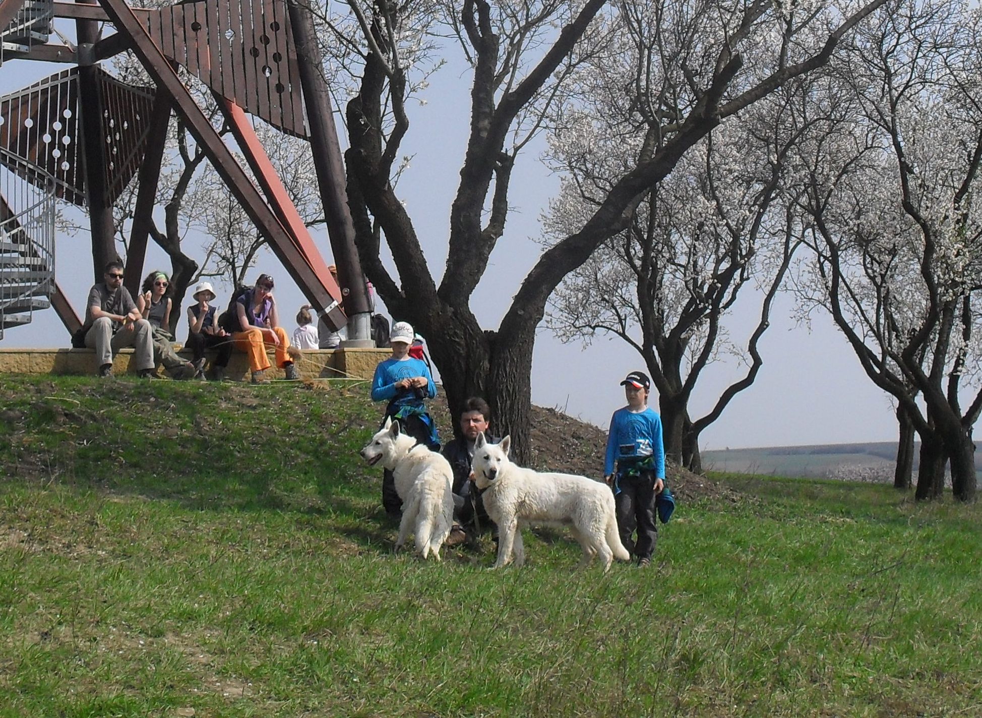 rozhledna Hustopeče