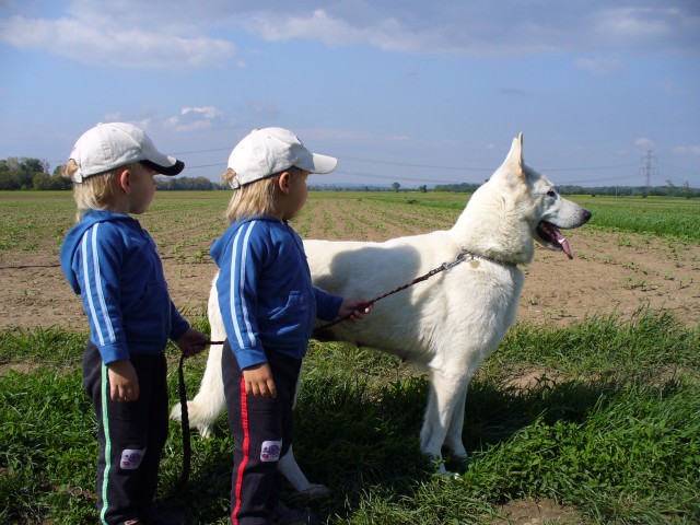 P1000111.jpg