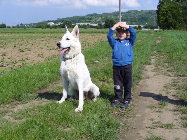 P1000098.jpg