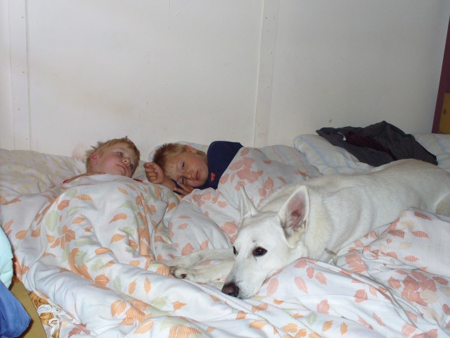 P1000783.jpg