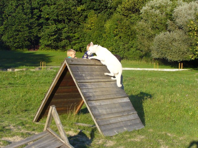 P1000815.jpg